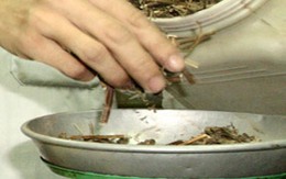 Thông tin thêm về “lang băm” chữa vô sinh ở Bắc Ninh: Bắt bệnh bằng... kim băng!