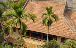 Sốt ruột vì di sản