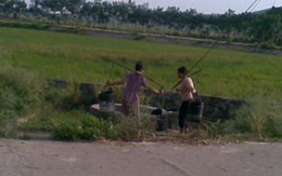 Giải hạn nhờ... nước ruộng