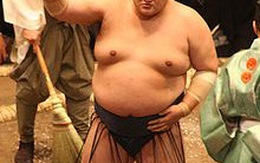 Các vụ cá độ gây sốc của võ sĩ Sumo