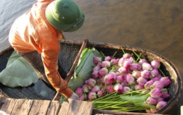 Chuyện ảnh: “Đệ nhất thời trân”