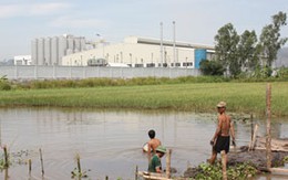  “Chung thân” cùng... độc tố!