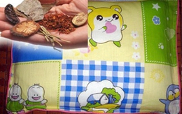 Dùng gối thảo dược cho trẻ: Chữa bệnh hay sinh bệnh?