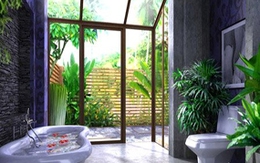 Cách đuổi muỗi, diệt gián đơn giản, hiệu quả