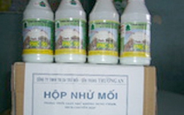 Suýt chết vì uống nhầm thuốc trừ mối