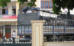 Bắt giữ 43 con bò nhập lậu qua biên giới