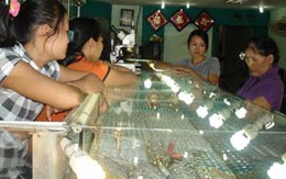 Giá vàng vẫn tiếp tục giảm