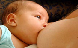 Bé 2 tháng tuổi tử vong vì sữa mẹ có ma túy