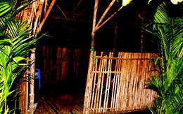 Giết người, gặp tai nạn khi chạy trốn