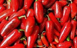 Thường xuyên ăn ớt đỏ giảm chứng huyết áp cao 