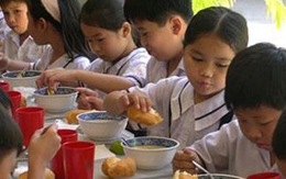 Dinh dưỡng hợp lý cho trẻ học bán trú