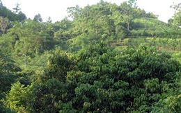 Mâu thuẫn với chồng, mẹ mang con tự tử