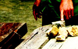 Trụ sở hạt kiểm lâm bị ném mìn