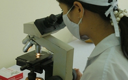 Tìm thấy "siêu vi khuẩn" tương tự tại Việt Nam