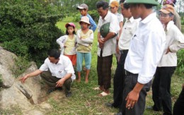 Hà Tĩnh: Kéo nhau đi xem “đá thần”