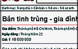 Mua "tinh binh" hàng chợ (2): Bán "giống" online