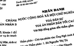 Hồi âm bài “Chưa sinh đã phải làm nhân chứng”: Khi chính quyền xã quan liêu