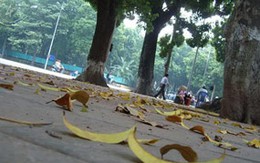 Nghỉ lễ 2/9: Trời mát và có mưa nhỏ