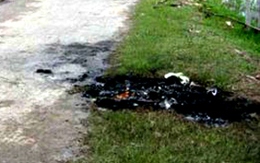 Bị đánh đến chết vì ăn trộm chó
