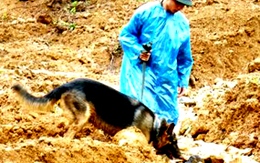 Ảnh: Chó nghiệp vụ "tác nghiệp" ở Mù Cang Chải