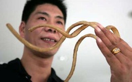 Nuôi móng tay suốt 13 năm