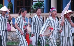 Phút trải lòng của nữ giáo viên đầu độc đồng nghiệp