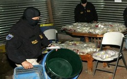 Phát hiện hàng chục triệu USD chôn dưới đất