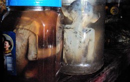 Săn động vật hoang dã vùng rừng đệm