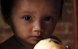 Mẹ thần kinh hàng ngày nhặt thức ăn thừa nuôi con
