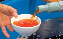 Ẩn họa khi tiêm nước mắm để "phê"