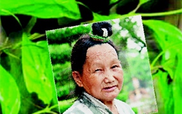 "Phù thủy lá ngón" và những ngày trả giá
