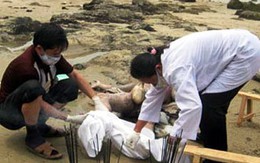 Những người "giải mã" tử thi
