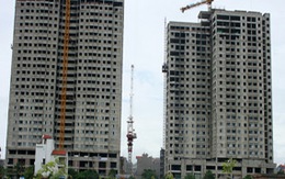 Gian nan xin xác nhận mua nhà thu nhập thấp