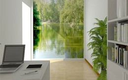 Nhà không cửa sổ, vẫn ngập tràn thiên nhiên 