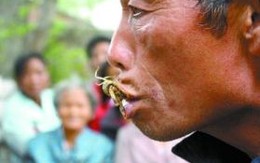 30 năm nuốt sống 10.000 con bọ cạp