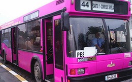 Đi xe buýt tốt cho sức khỏe 