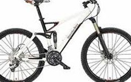 9 tuổi đã cùng chị trộm xe