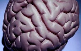 Phẫn uất vì não con trai bị trưng bày 