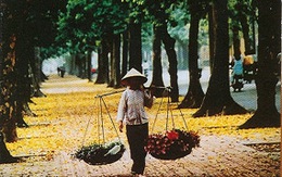 Hà Nội trong mắt "Tây"