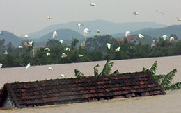 Đại tướng Võ Nguyên Giáp động viên Quảng Bình