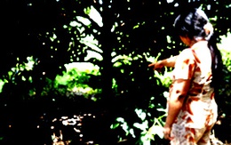 Vụ 2 cha con hiếp dâm 1 nữ sinh: 8 năm “địa ngục”...