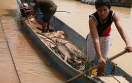 Chèo thuyền cứu hơn 350 người trong đêm lũ 