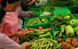 "Sốt" dùng thực phẩm hữu cơ