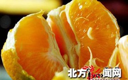 Giòi trong cam, quýt ở Trung Quốc