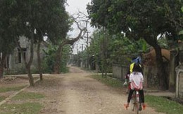 Xã 40 năm cấm nuôi chó vì sợ... bệnh dại