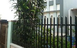 Nhà cô giáo mất 30 cây vàng bị vây xiết nợ