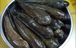Làm sạch nhớt cá  