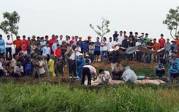 Nam công nhân bị sát hại dưới ruộng lúa