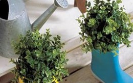 Mẹo làm mới đồ dùng cũ trong nhà