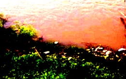 Bắt kẻ hiếp dâm dì vợ, giết rồi vứt xác xuống sông